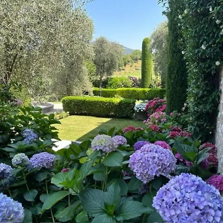 In Gabrielle Villa Torri Del Benaco